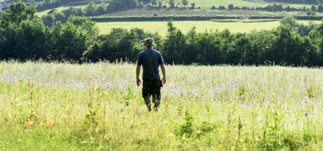 The Bee Guy - World Bee Sanctuary