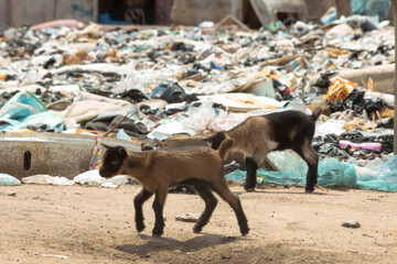 ghana-textile-waste-investigation
