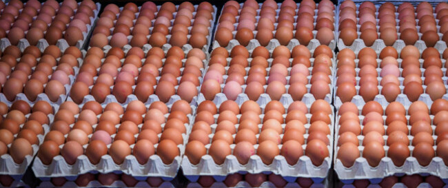 stacks-of-fresh-eggs-in-a-market-banner-format