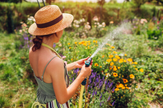 backviewofwomangardenerinstrawhatwateringplants
