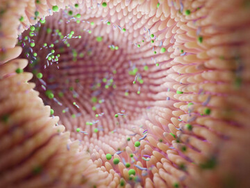 microbiome-intestine-factories-and-microbiota-gut-health-3d-render-microvilli-with-factories-in-intestine-high-quality-3d-illustration
