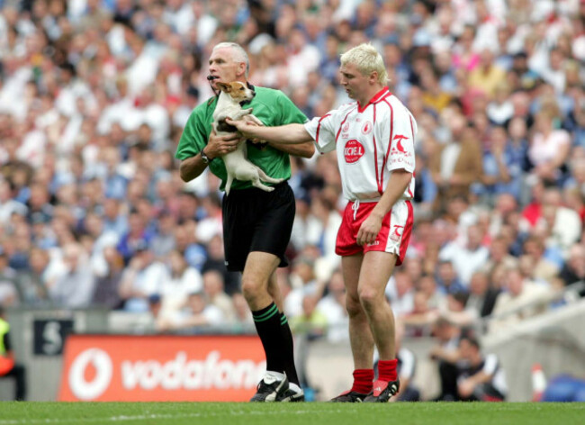 owen-mulligan-rescues-a-dog-and-gives-it-to-referee-gearoid-o-conamha