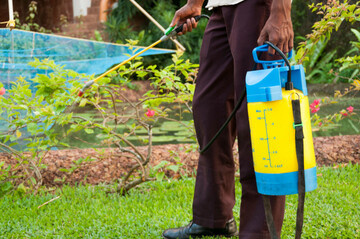 man-spraying-weed-killer-in-garden
