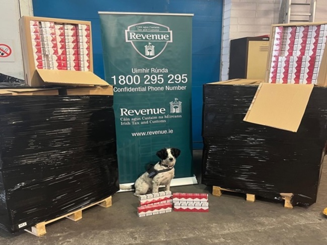 Image 1 - cigarette seizure with Milo