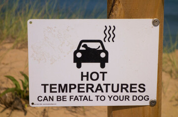 cape-cod-massachusetts-usa-hot-temperatures-warning-sign-for-dogs-in-cars-at-white-crest-beach-near-town-of-wellfleet