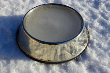 frozen-bowl-of-water