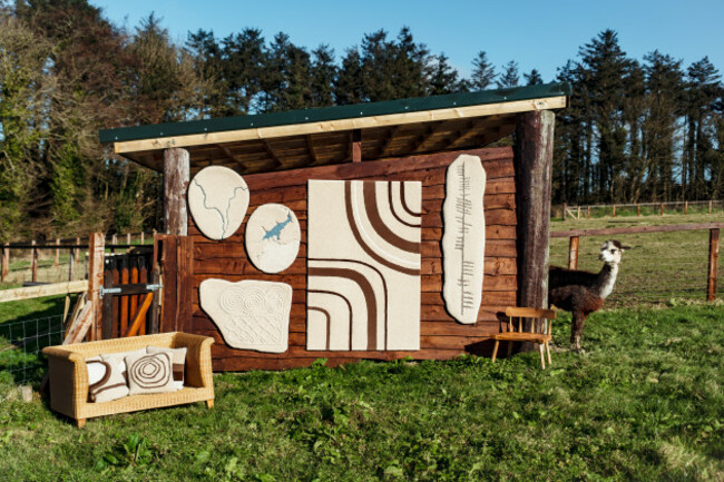 Ceadogan-Alpaca-Rug-Cushions-Feb-2024-PRINT-15