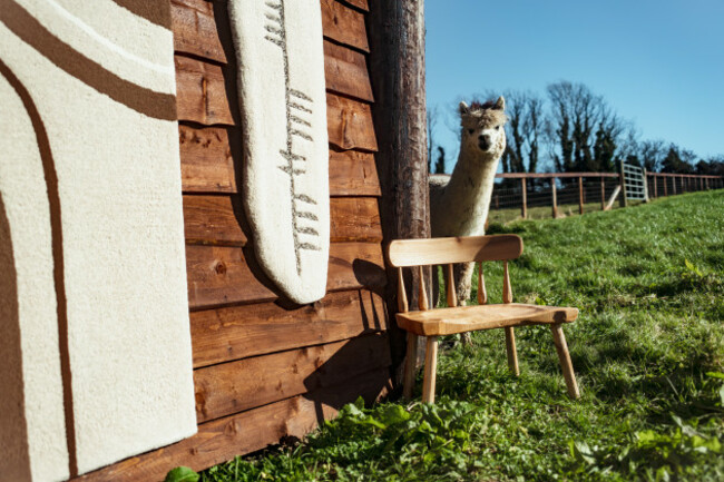 Ceadogan-Alpaca-Rug-Cushions-Feb-2024-PRINT-24