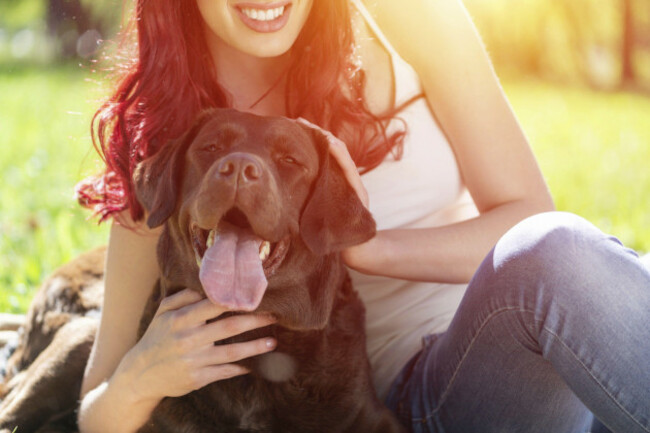 young-woman-with-her-dog-cuddles-in-the-park-spend-time-in-the-park-with-pets