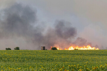 zeithain-germany-02nd-july-2025-flames-from-a-forest-and-vegetation-fire-in-the-gohrischheide-in-the-district-of-meiben-can-be-seen-over-a-long-distance-credit-daniel-wagnerdpaalamy-live-news