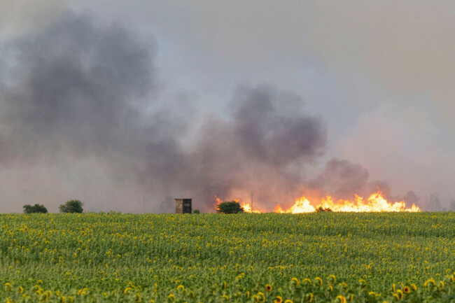 zeithain-germany-02nd-july-2025-flames-from-a-forest-and-vegetation-fire-in-the-gohrischheide-in-the-district-of-meiben-can-be-seen-over-a-long-distance-credit-daniel-wagnerdpaalamy-live-news