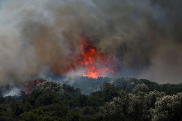 a-fire-rages-across-a-forest-area-in-cesme-near-izmir-turkey-thursday-july-3-2025-cengiz-malgirdia-photo-via-ap