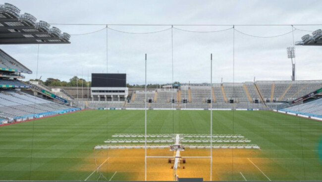 davin stand