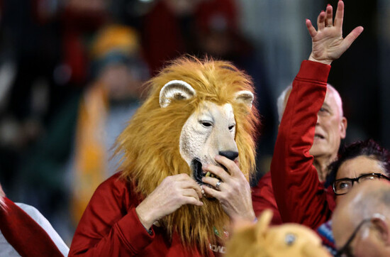 a-lions-fan-before-the-game