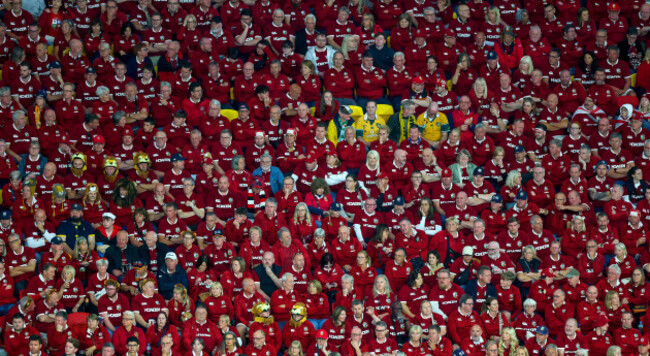 lions-fans-during-the-game