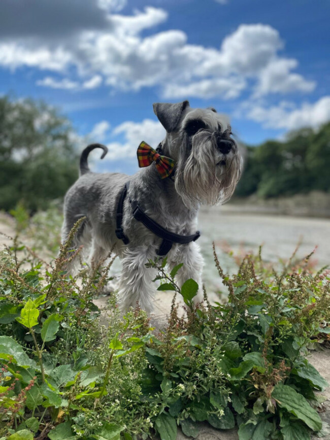 WhatsApp Image 2025-07-24 at 16.04.15