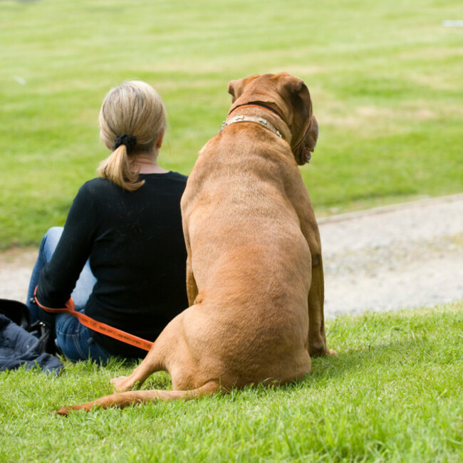 woman-and-her-dog-sat-watching