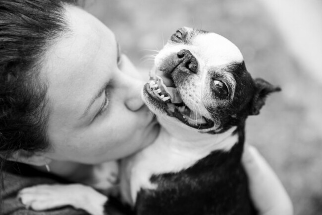 closeup-of-a-female-dog-owner-kisses-her-boston-terrier-on-the-neck