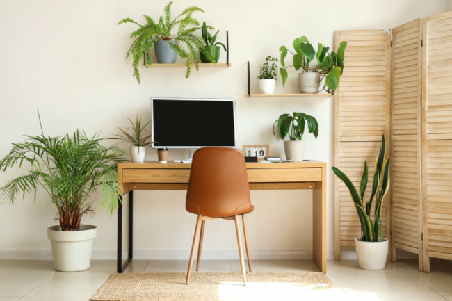 interioroflightofficewithworkplaceshelvesandgreenhouseplants
