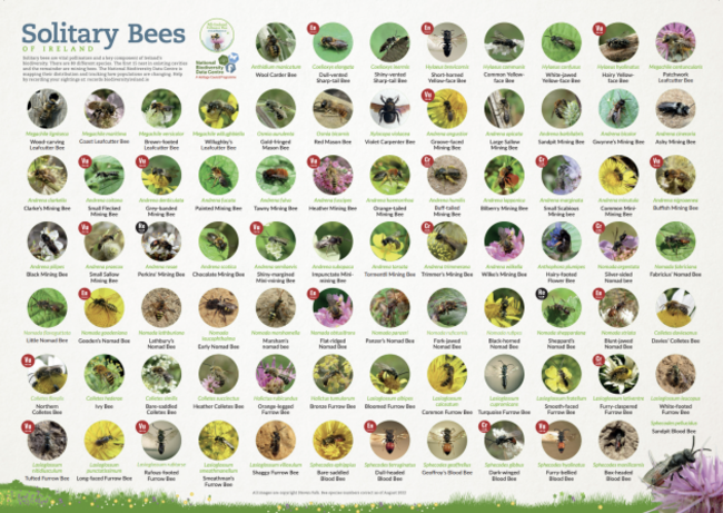 Screenshot 2025-08-05 at 15.19.23