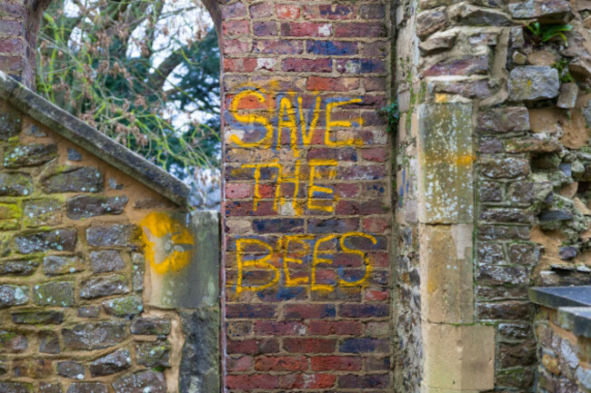 save-the-bees-graffiti-and-emblem-scrawled-on-an-old-brick-wall-uk