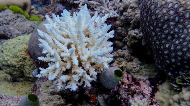 237f327342004c7aae4692d4afb3279b