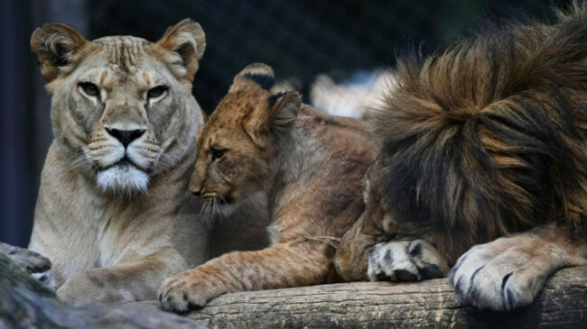 3f111b578afb49389fd4bdfcb5906b2b