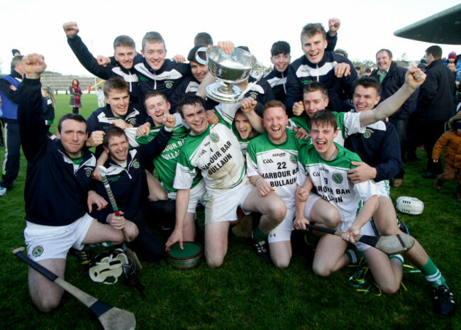 the-sarsfields-team-celebrate-winning