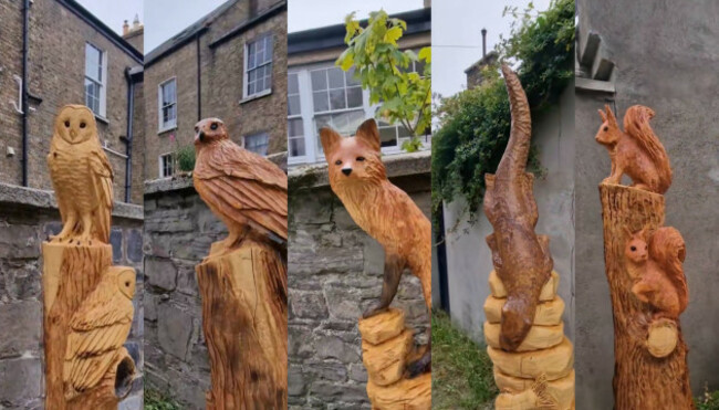 MixCollage-09-Aug-2025-05-25-PM-6127