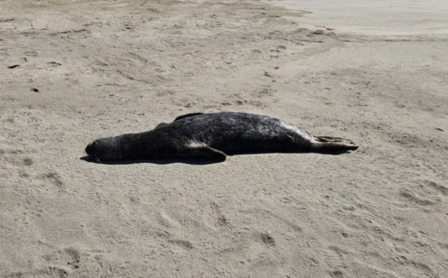 Screenshot 2025-08-08 at 12.21.38