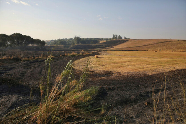 burned-area-by-the-fire-in-calera-y-chozas-on-august-13-2025-in-calera-y-chozas-toledo-castilla-la-mancha-spain-the-fire-originated-on-tuesday-afternoon-in-alberche-del-caudillo-and-that-has-m