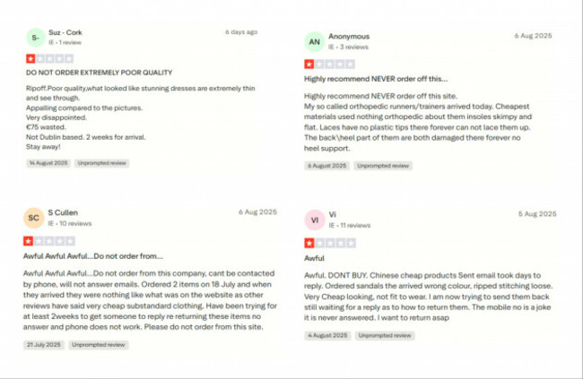 MixCollage-20-Aug-2025-11-35-AM-9338