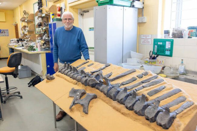 istiorachis-macaruthurae