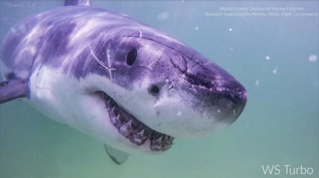 Screenshot 2025-08-24 at 16.53.00