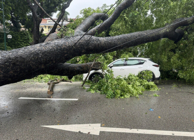 a-car-is-crushed-under-a-fallen-tree-in-the-aftermath-of-typhoon-kajiki-in-hanoi-vietnam-tuesday-aug-26-2025-nguyen-quang-haivna-via-ap