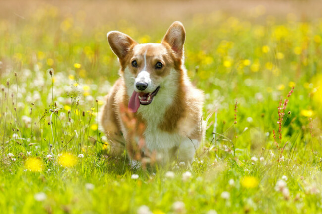 JRT19068 Please credit Photographer James Crombie