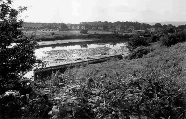 Brian McDermott River Lagan Scene