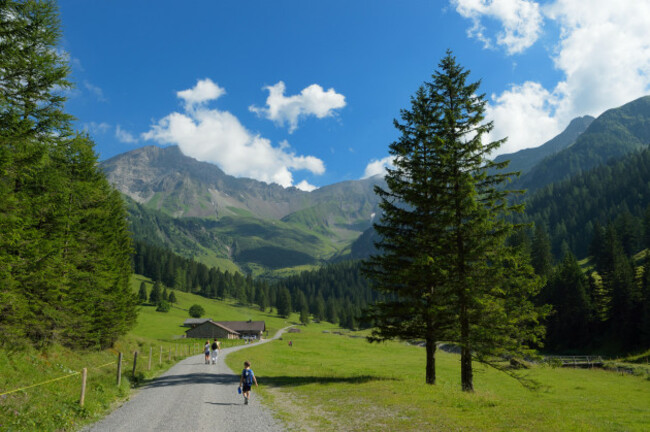 a-family-hiking-at-the-valuna-alp-and-valley-liechtenstein-li