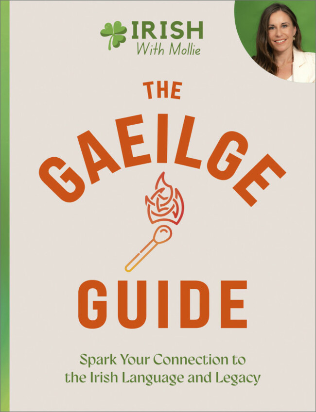 The Gaeilige Guide HB final