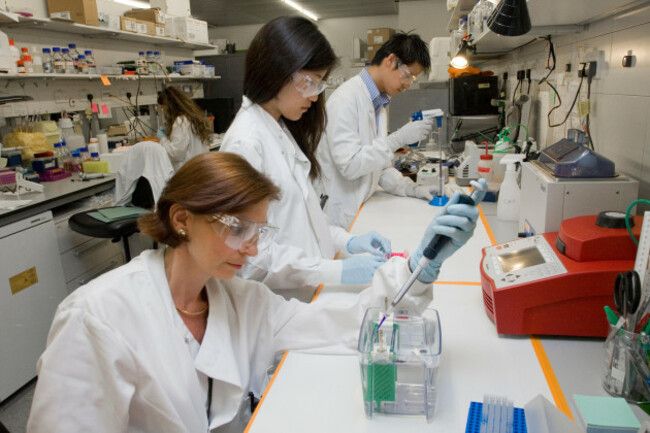 research-department-of-cancer-biology-ucl-cancer-institute-paul-ogo