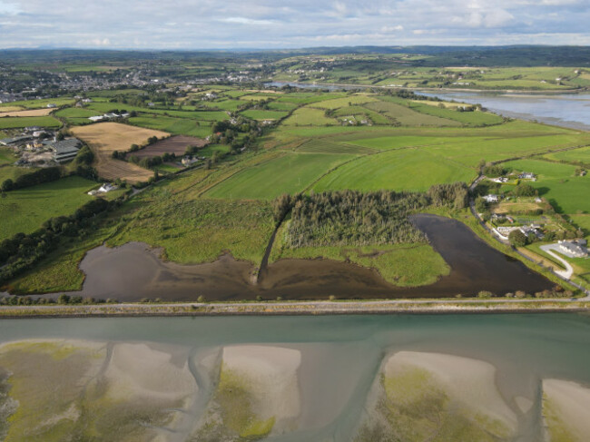 3. White's Marsh Richard Mills