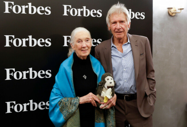 new-york-united-states-22nd-sep-2025-un-messenger-of-peace-and-founder-of-the-jane-goodall-institute-dr-jane-goodall-holds-mr-h-while-standing-with-harrison-ford-at-the-2025-forbes-sustainabilit
