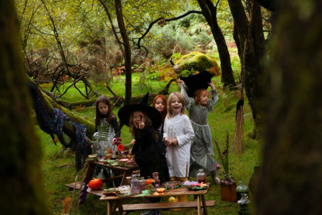 f5bd7e47-bcf0-4cf8-948f-84ad7d9f89d9