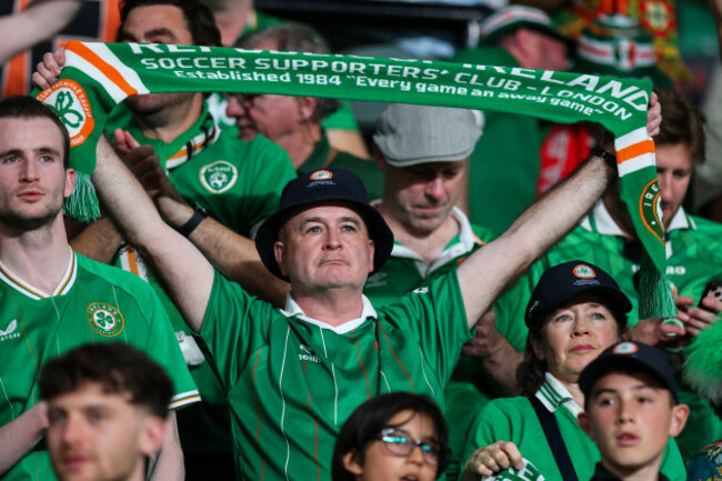 ireland-fan-during-the-anthem