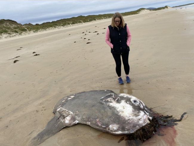 Screenshot 2025-10-12 at 11.43.02