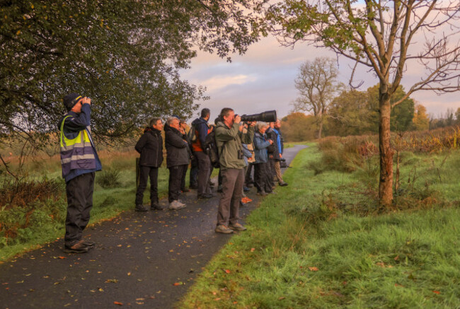 Autumn Gathering Deer Walk2