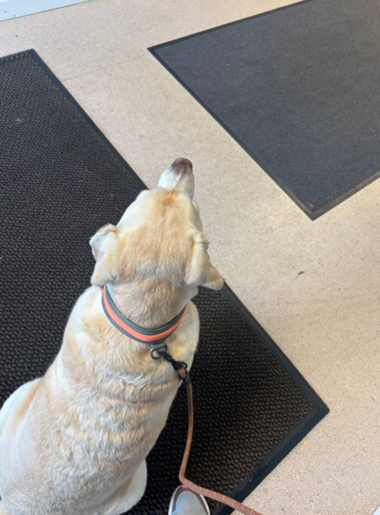 Screenshot 2025-10-24 at 17.24.28