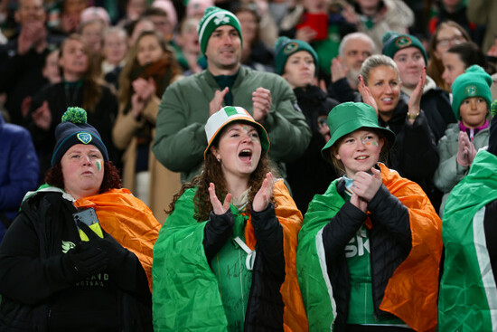 ireland-fans-during-the-game