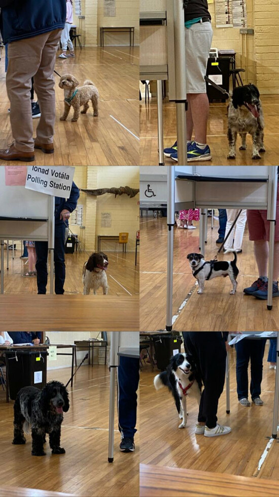 WhatsApp Image 2025-10-24 at 18.36.02_c9a483cd