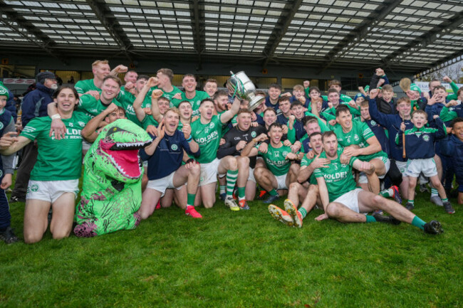 ballyhale-shamrocks-team-celebrates
